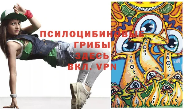 героин Богданович