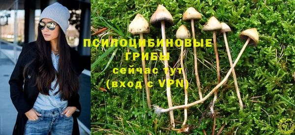 ALPHA-PVP Богородицк